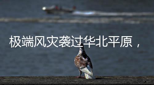12—13级的极端有82个