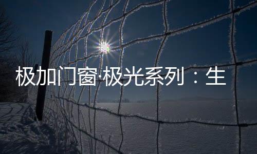 极加极光梦想与现实交汇