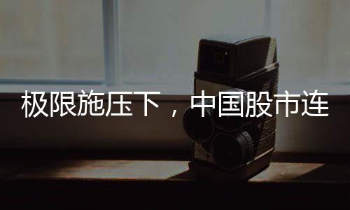 有多元化的极限国际国内市场