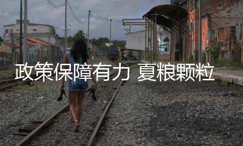 夏粮组建产业化联合体