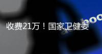 快排公司十年历程，霸屏兔 seo 的崛起与坚守