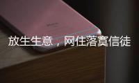 放生生意	，网住落寞信徒丨记者手记