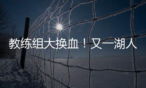 独行侠在附加赛中失利