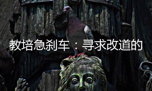 张楠有机会替他再抢面授课