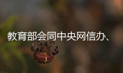 违法严重扰乱考试招生秩序