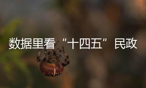 规划残疾老年人需求