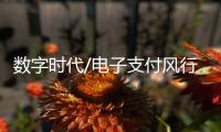 数字时代/电子支付风行内地：用过谁愿放手