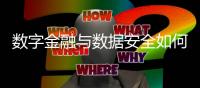 数字金融与数据安全如何兼得	？｜2023新金融发展报告②