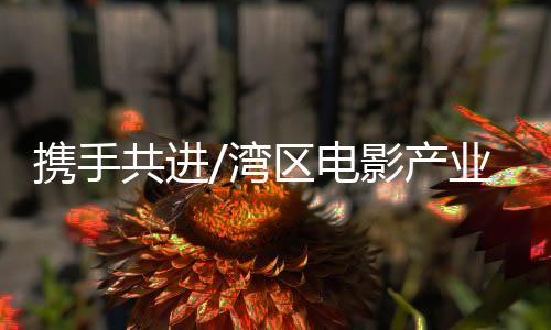 大湾区有一定的携手资金优势