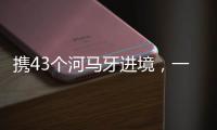 携43个河马牙进境，一男子在拱北口岸被查