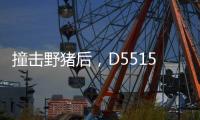 撞击野猪后，D5515动车机械师的致命检修