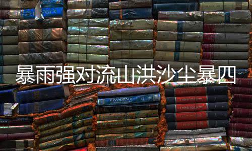 内蒙古西部局地有沙尘暴