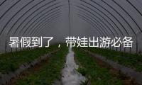 暑假到了，带娃出游必备！儿童铁路购票四大要点