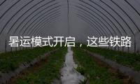 暑运模式开启
，这些铁路福利千万别错过