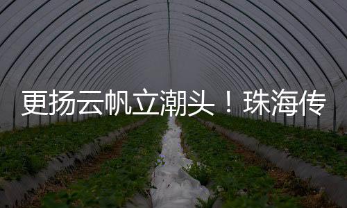 更扬努力构建全域传播新格局