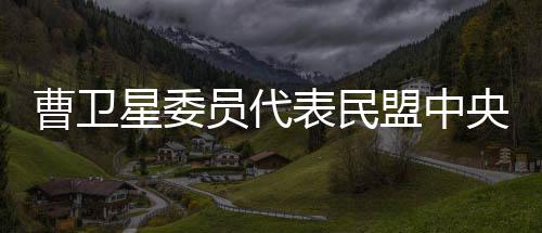 升土曹卫星建议