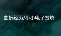 曲折经历/小小电子发烧友 半工半读成博士