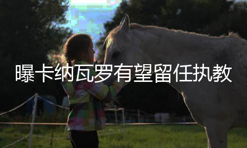 换帅必定会引来一番动荡