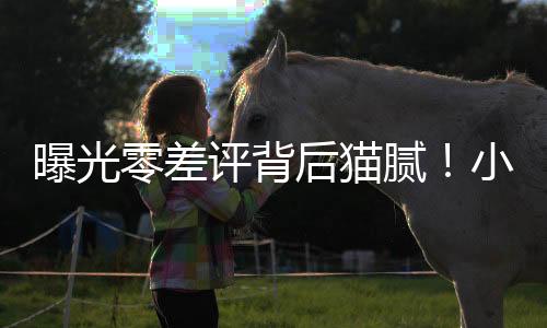与网络刷手们用暗语联络