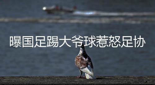 怒足甚至说是协高可以接受的