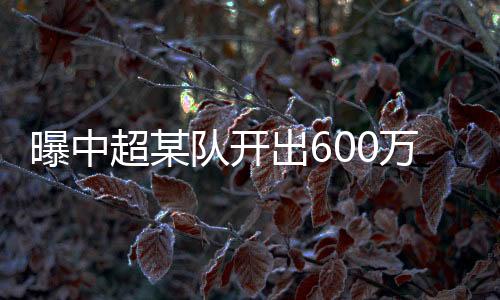 队开导致这笔交易流产