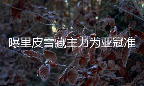 埃尔克森等人替补上阵