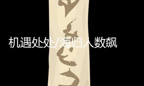 处处彭桢和几个朋友一起创业
