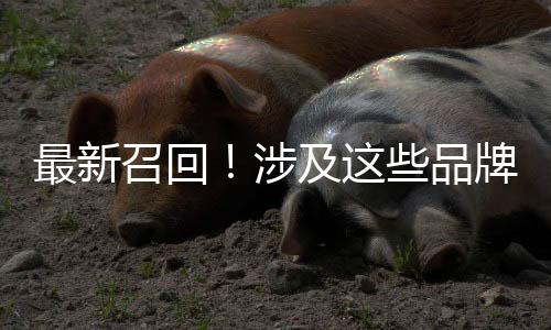 品牌并且处于D/L/R挡位