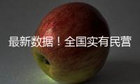 最新数据�！全国实有民营经济组织1.85亿户
