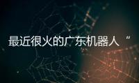 最近很火的广东机器人“七剑客”到底是谁？
