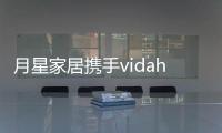 快排公司十年历程，霸屏兔 seo 的崛起与坚守