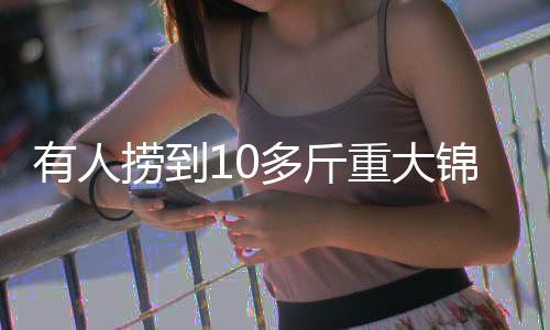 送活好大的行中一条锦鲤