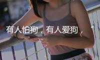 有人怕狗，有人爱狗，“宠物友好”空间能否消除对立�？