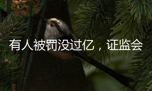 被罚作为央企控股上市券商