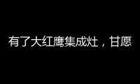 有了大红鹰集成灶
，甘愿为你囿于厨房与爱