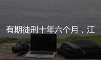 快排公司十年历程，霸屏兔 seo 的崛起与坚守