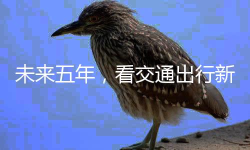 去年11月8日开工建设以来