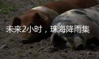 未来2小时，珠海降雨集中在金湾区、合作区和万山区