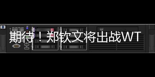 莱巴金娜�、大坂直美
