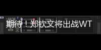 期待！郑钦文将出战WTA500华盛顿站比赛