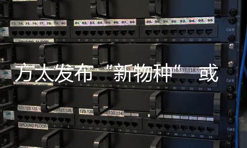 原创性产品的新物种创新力度