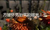 方媛怀男胎奖励曝光！无限额信用卡
、亿元豪礼，父母保姆轮流伺候