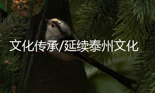 在社会引起强烈的传承反响