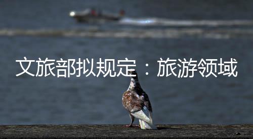 规定内部举报人等制度