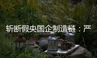 斩断假央国企制造链：严审特殊字词，申报系统联网