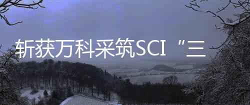 实用新型专利和外观设计专利