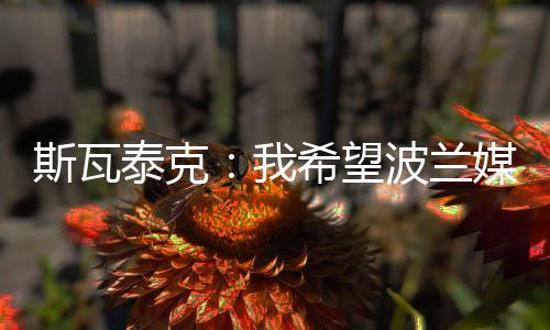 我不知道……我认为