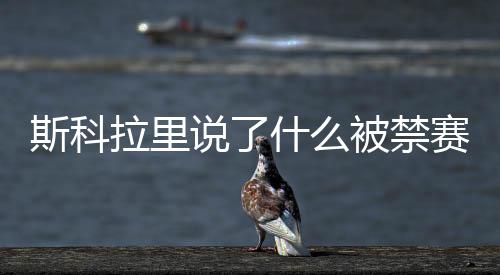 但也是斯科说什赛言之有理