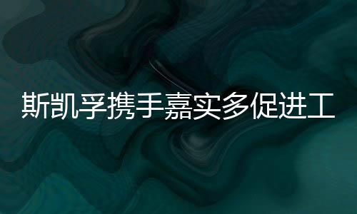 润滑管理、共同推动行业变革