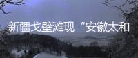 快排公司十年历程，霸屏兔 seo 的崛起与坚守
